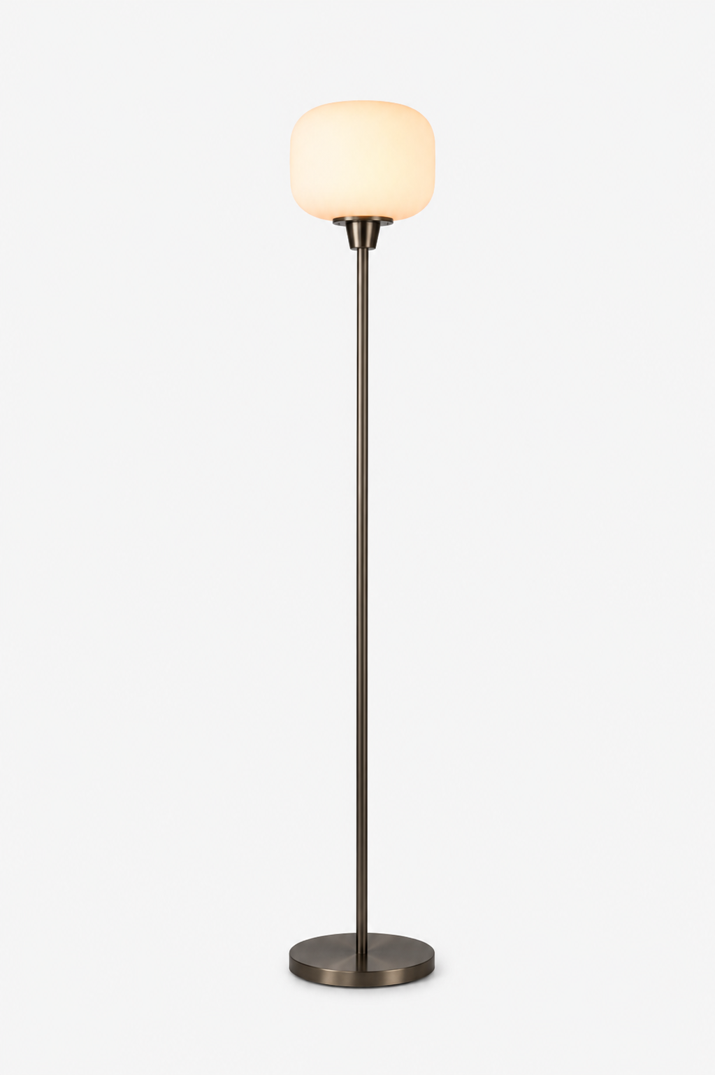 Decorative Glass Globe Floor Lamp Loxevi