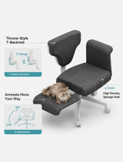Ergonomic Office Chair Loxevi