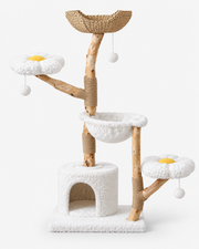 Luxury Natural Wood Cat Tree with Woven Basket Beds Loxevi