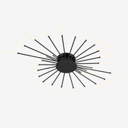 Modern 42 Light LED Firework Chandelier Loxevi