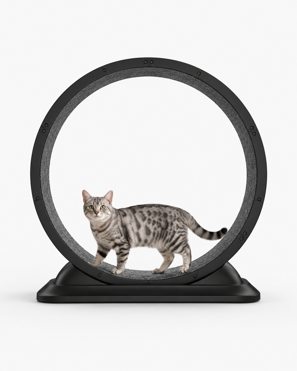 Indoor Cat Exercise Wheel 31.5 Inch Loxevi