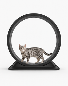 Indoor Cat Exercise Wheel 31.5 Inch Loxevi