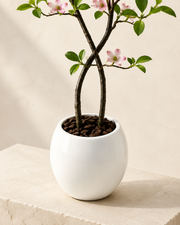 Artificial Jasmine Tree with Pink Buds Loxevi