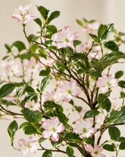 Artificial Jasmine Tree with Pink Buds Loxevi
