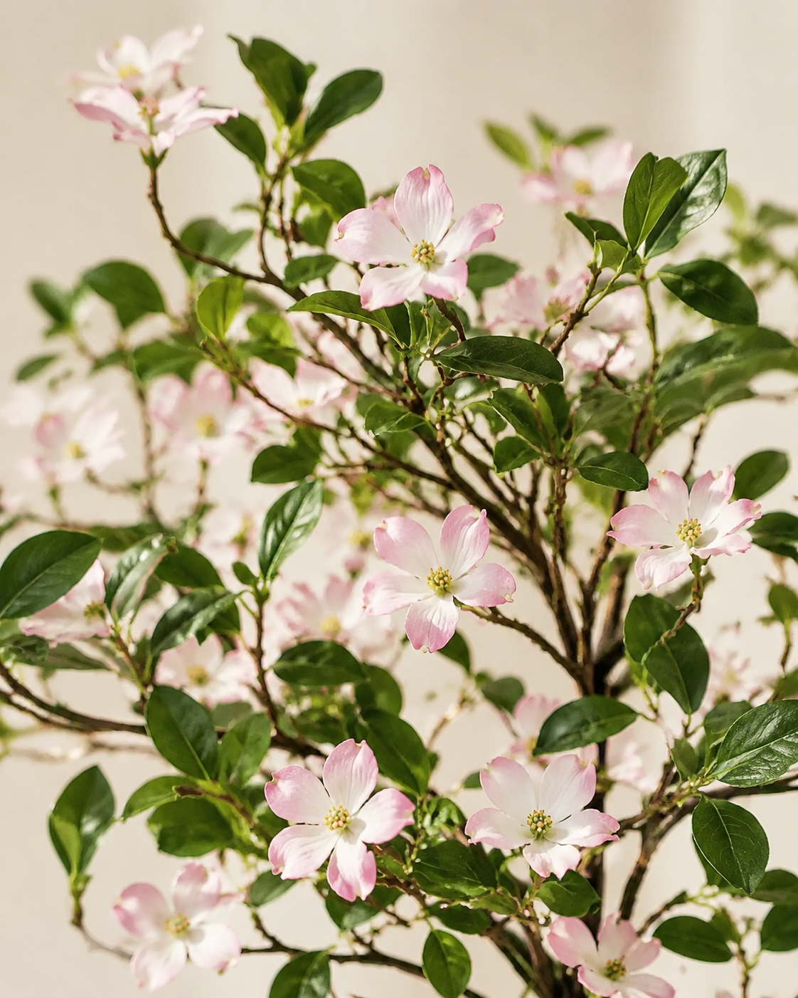 Artificial Jasmine Tree with Pink Buds Loxevi