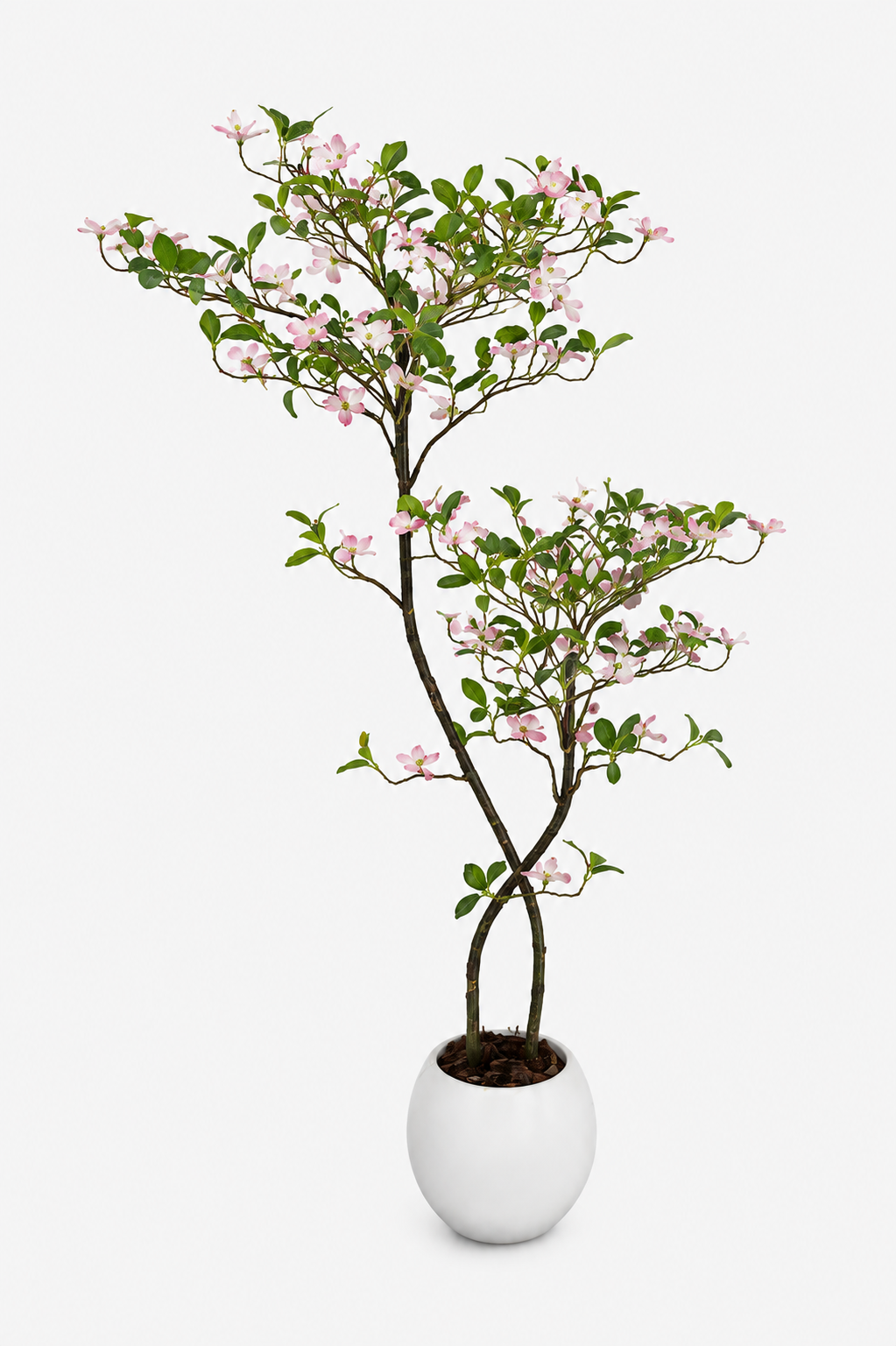 Artificial Jasmine Tree with Pink Buds Loxevi