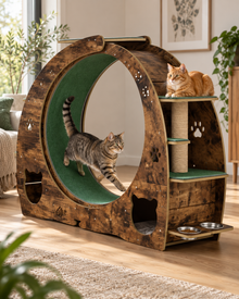 Luxury Six in One Cat Exercise Wheel and Activity Station Loxevi