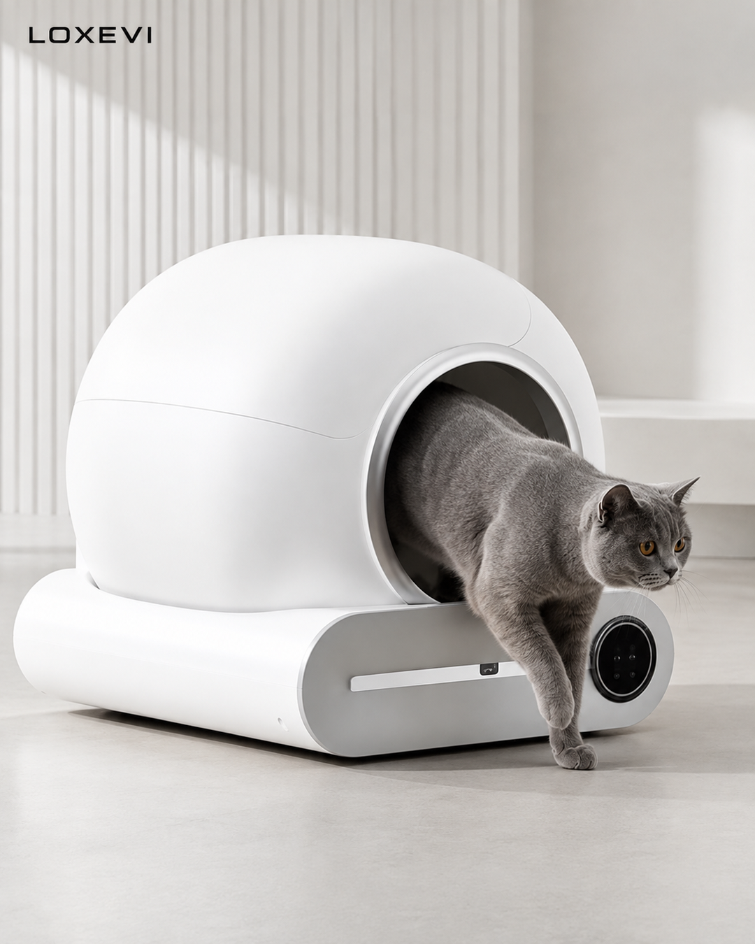 Smart Automatic Cat Litter Box with App Control Loxevi