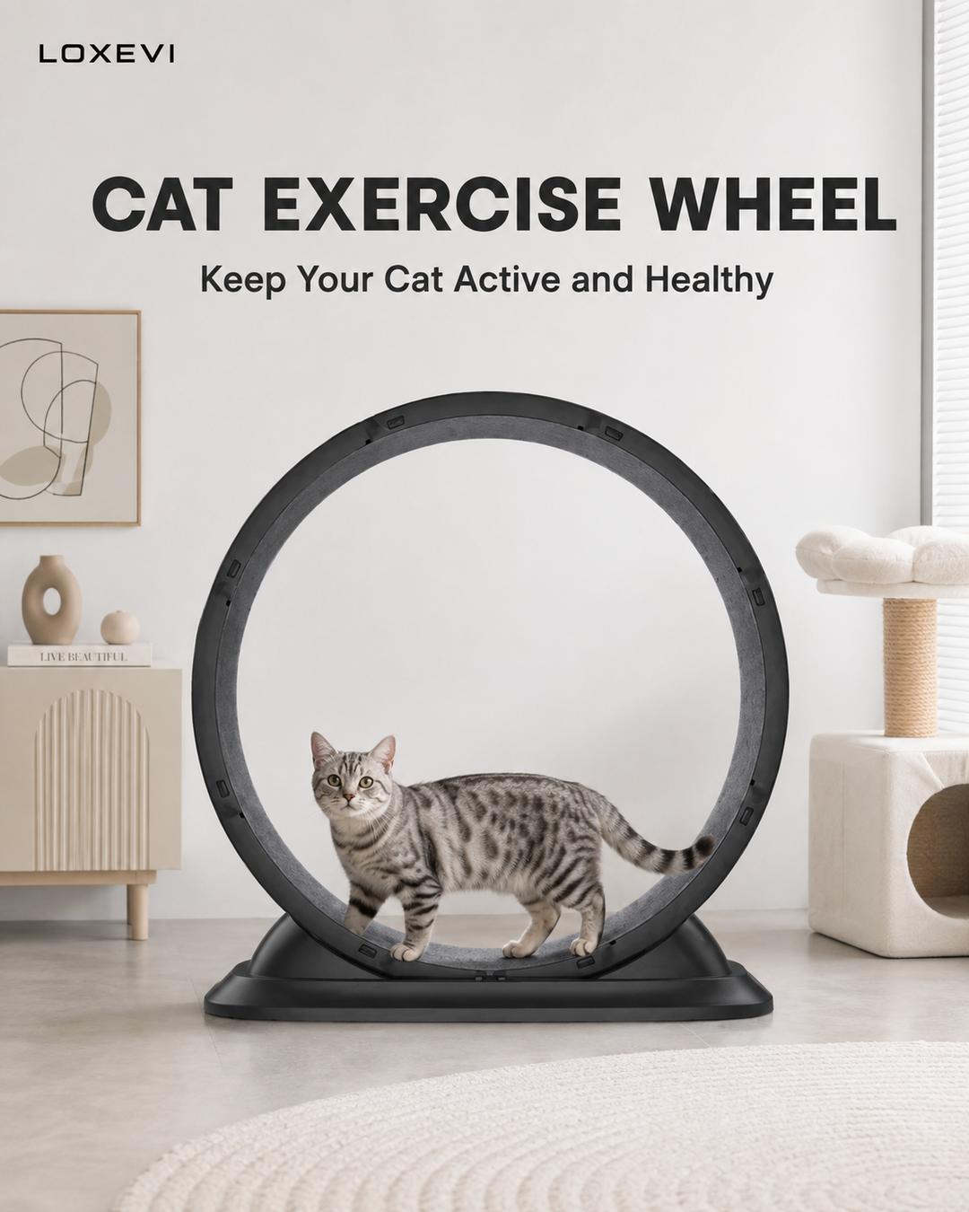 Indoor Cat Exercise Wheel 31.5 Inch Loxevi