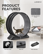 Indoor Cat Exercise Wheel 31.5 Inch Loxevi