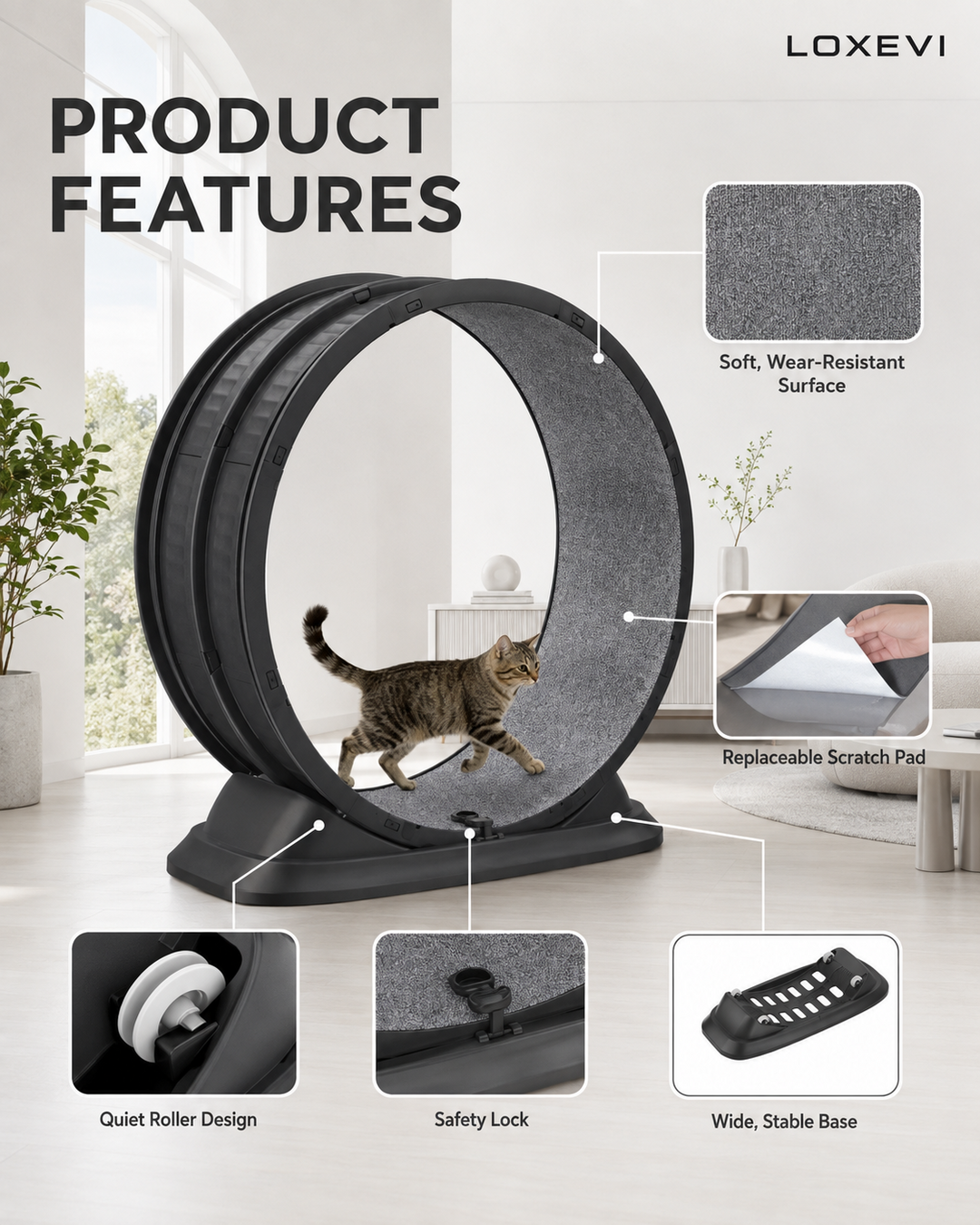 Indoor Cat Exercise Wheel 31.5 Inch Loxevi