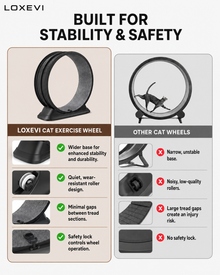 Indoor Cat Exercise Wheel 31.5 Inch Loxevi