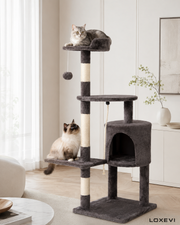 Indoor Cat Tree and Climbing Tower Loxevi