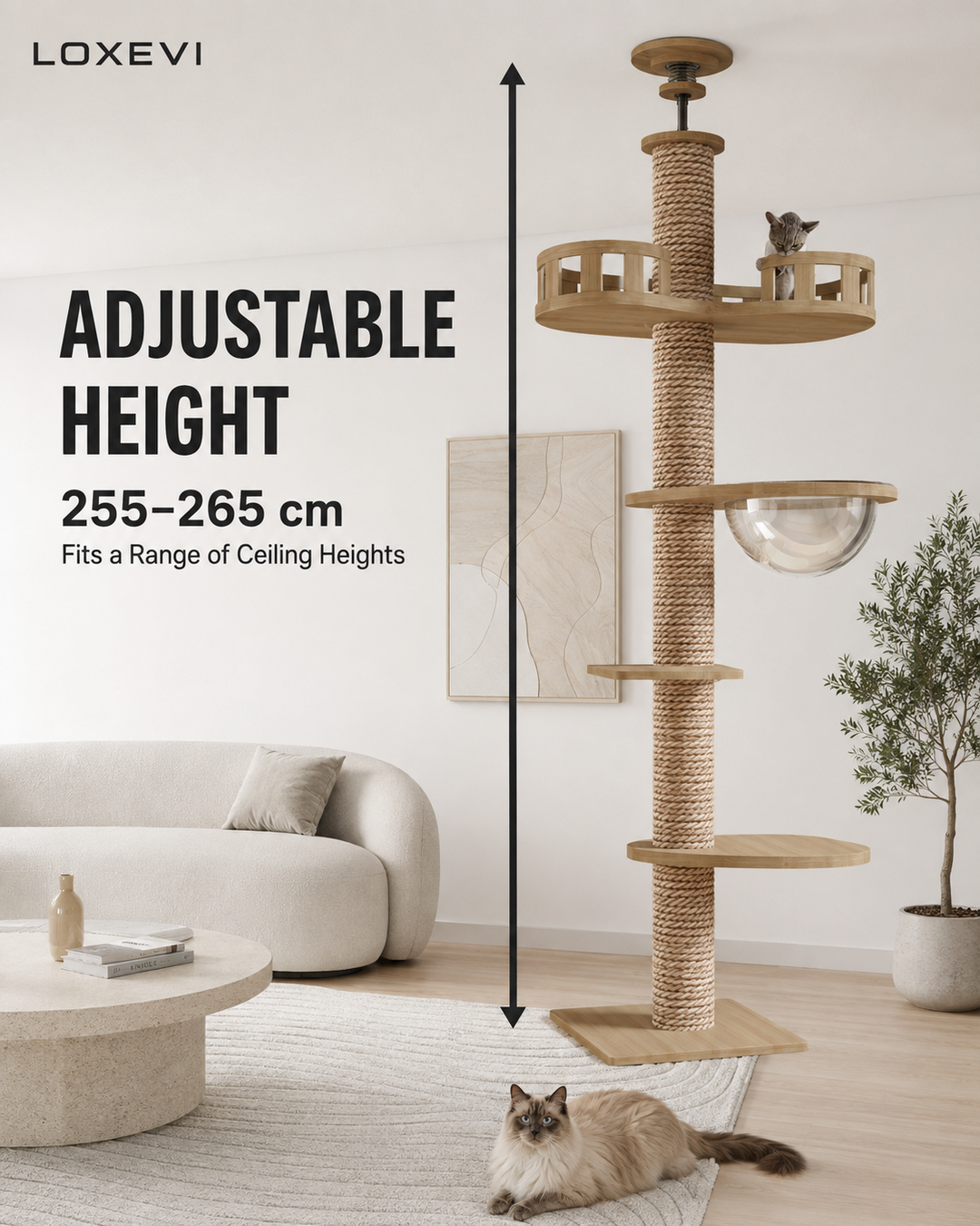 Adjustable Floor to Ceiling Cat Tree Loxevi