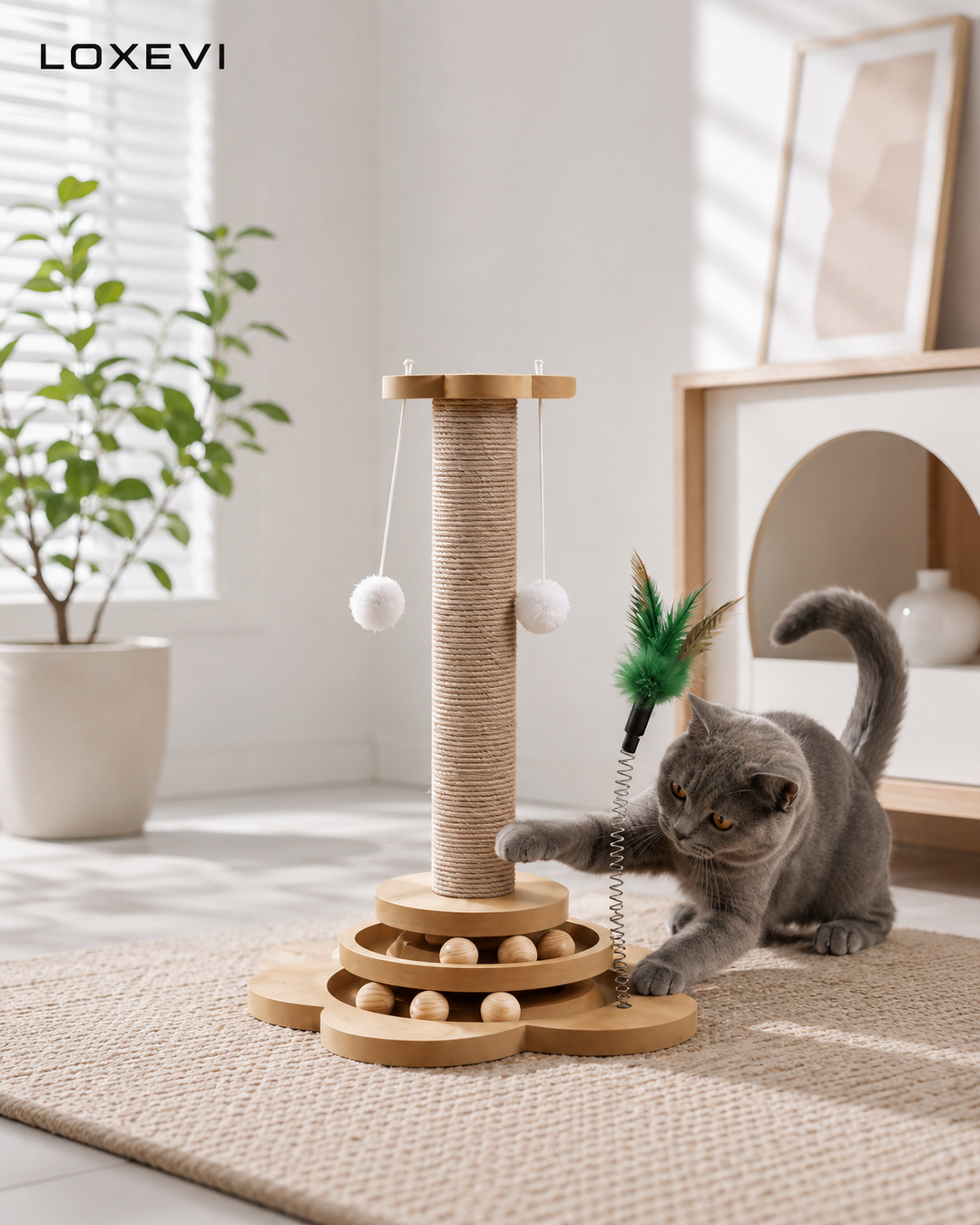 Solid Wood Rotating Cat Toy and Scratcher Loxevi