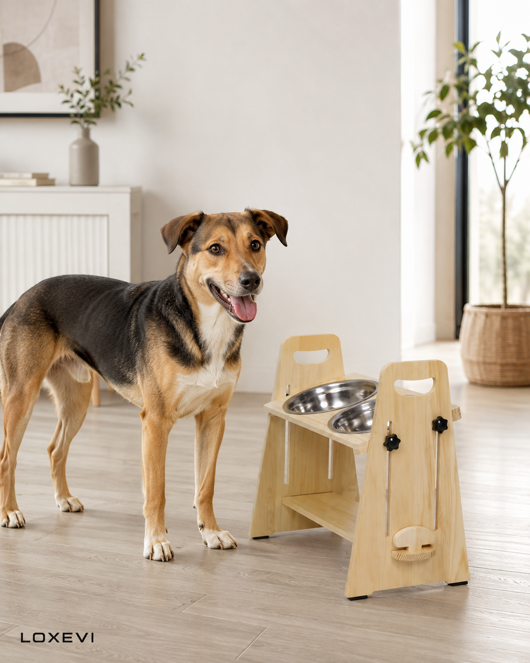 Adjustable Elevated Dog Bowl Stand Loxevi