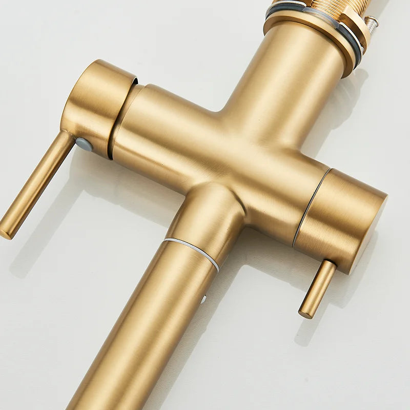 Brushed Gold Pulling Filter Kitchen Pure Faucet Pull Out Two In One Out Water  Mixer Tap 360 Rotation Sink Drink Directly Crane