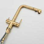 Brushed Gold Pulling Filter Kitchen Pure Faucet Pull Out Two In One Out Water  Mixer Tap 360 Rotation Sink Drink Directly Crane
