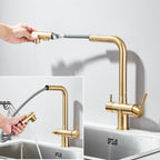Brushed Gold Pulling Filter Kitchen Pure Faucet Pull Out Two In One Out Water  Mixer Tap 360 Rotation Sink Drink Directly Crane