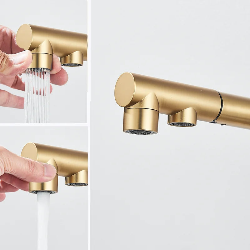 Brushed Gold Pulling Filter Kitchen Pure Faucet Pull Out Two In One Out Water  Mixer Tap 360 Rotation Sink Drink Directly Crane