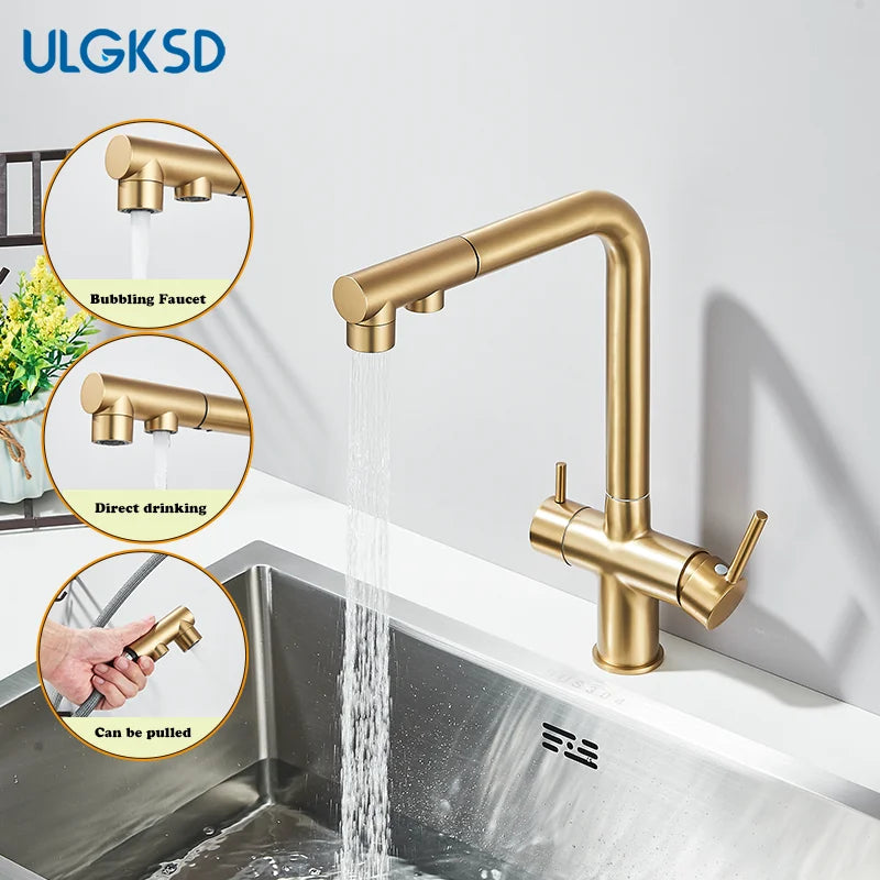 Brushed Gold Pulling Filter Kitchen Pure Faucet Pull Out Two In One Out Water  Mixer Tap 360 Rotation Sink Drink Directly Crane
