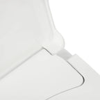 Non-Electric Bidet Toilet Seat Toilet Bidet Lid Fits Elongated Toilets, Dual Nozzle D-shaped with Cleaner Flush Hose