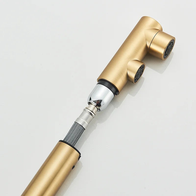 Brushed Gold Pulling Filter Kitchen Pure Faucet Pull Out Two In One Out Water  Mixer Tap 360 Rotation Sink Drink Directly Crane