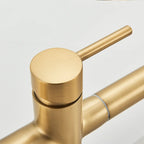 Brushed Gold Pulling Filter Kitchen Pure Faucet Pull Out Two In One Out Water  Mixer Tap 360 Rotation Sink Drink Directly Crane